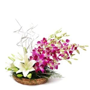 Xmas Lilies N Orchids